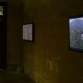 jeff doring